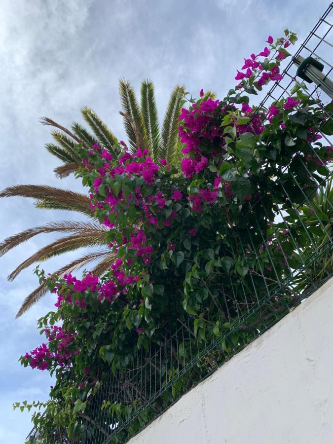 Elena Studio Costa Adeje  ภายนอก รูปภาพ